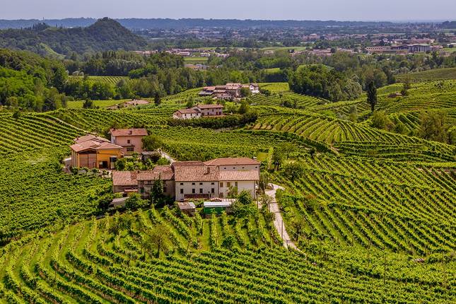 10 Best Northern Italy Wine Tasting Tours Biggest Selection Best Prices Tourradar