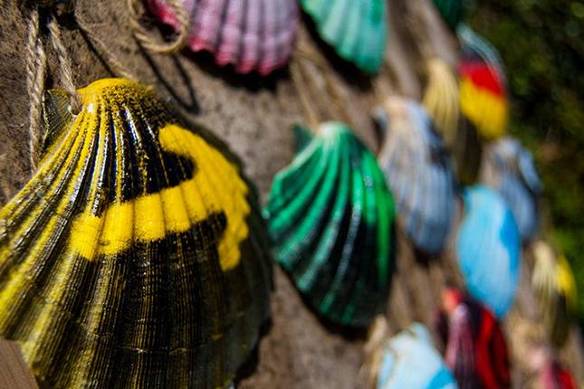 Camino de Santiago Biking Adventure 7D/6N (from Porto)