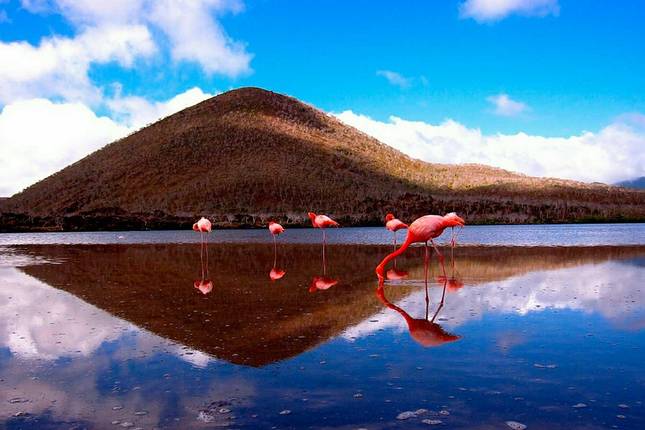 Galapagos Cruise - South East Islands in 4 Days aboard the Monserrat