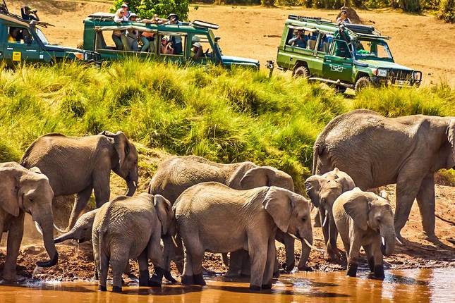 Viagem Privada Personalizada de 9 Dias pelo Circuito Norte da Tanzânia