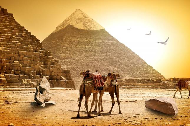 egypt israel tours