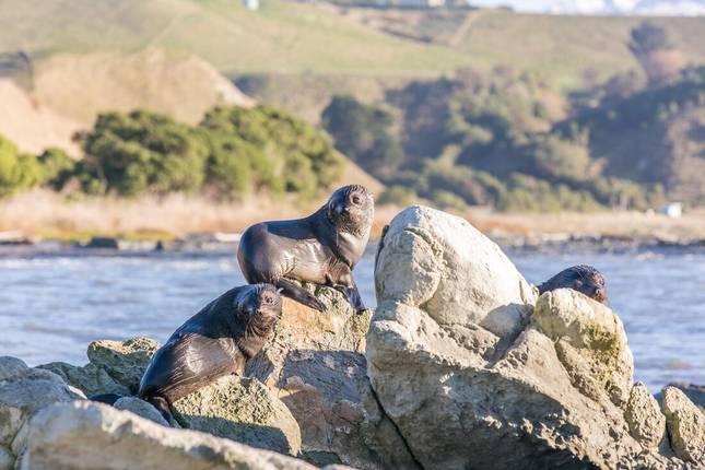 New Zealand West Coast Adventure