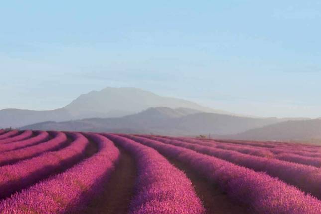 Apt Australia Tours All Tours Trips In 2021 2022 Tourradar