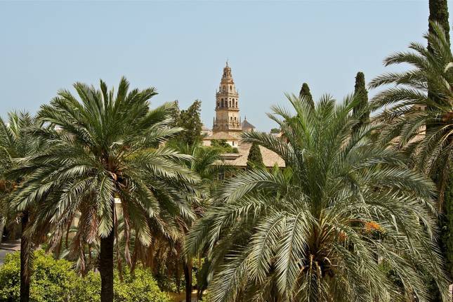 Cordoba, Seville & Costa del Sol