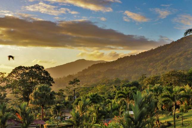 tours to costa rica for seniors