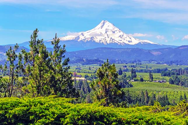 Pacific Northwest & California featuring Washington, Oregon and California (Seattle, WA to San Francisco, CA) (2025)