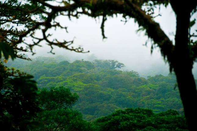 Mystic Waterfalls & Forests Of Costa Rica