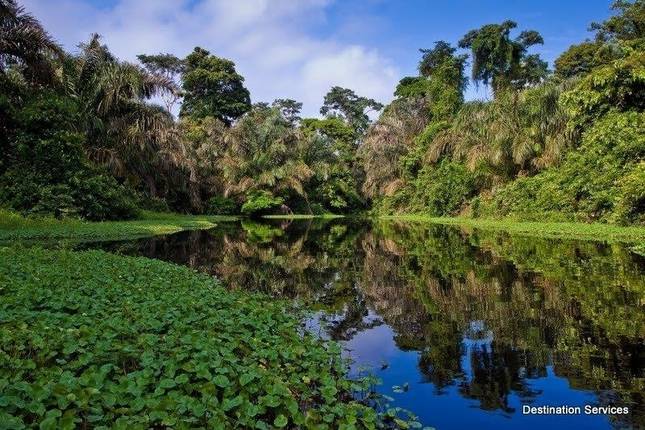 Tortuguero Jungle Expedition, Short Break (On Request)
