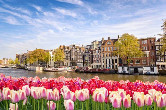 10 Best River Cruises from Amsterdam - TourRadar