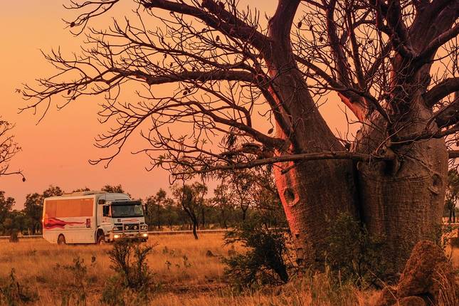 10 Best Kimberley Tours Vacation Packages 2021 2022 Tourradar