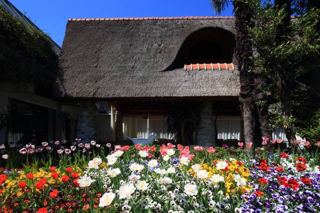 Enjoy Lago Maggiore and Swiss Dolce Vita (6 days)