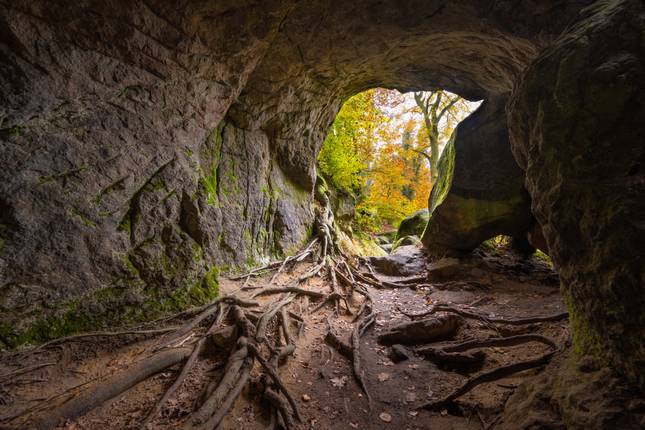 Wandern in Luxemburg - atemberaubende Landschaften auf verborgenen Wegen entdecken (6 Tage)