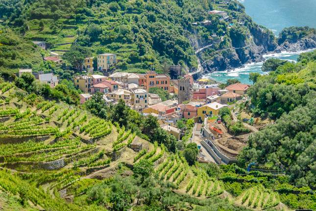 Hike Cinque Terre in 8 Days