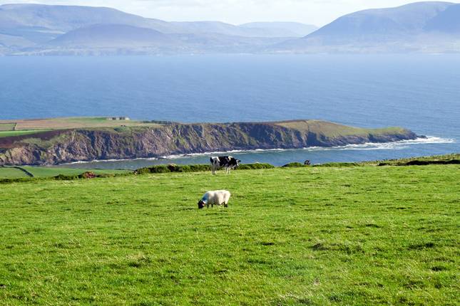 An Irish Christmas Tour 2022 10 Best Ireland Tours In December 2022 - Tourradar