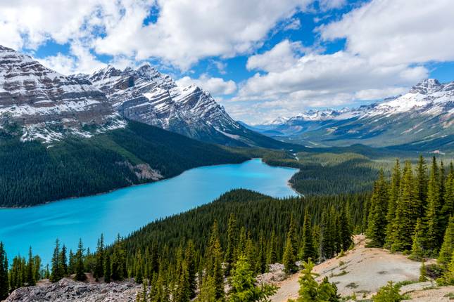 10 Best Canadian Rockies Coach / Bus Tours 2022/2023 - TourRadar