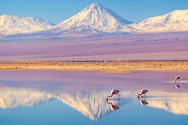 10 Best Atacama Desert Tours & Trips 2022/2023 - TourRadar