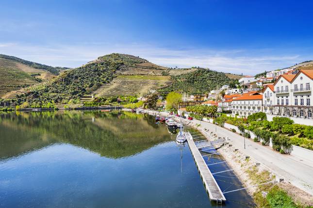 best douro river cruises reviews