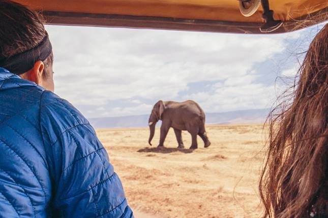 Top 6 Luxury Safari Tours in Serengeti National Park - TourRadar