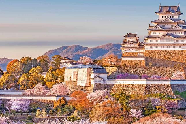 best tours of japan 2023
