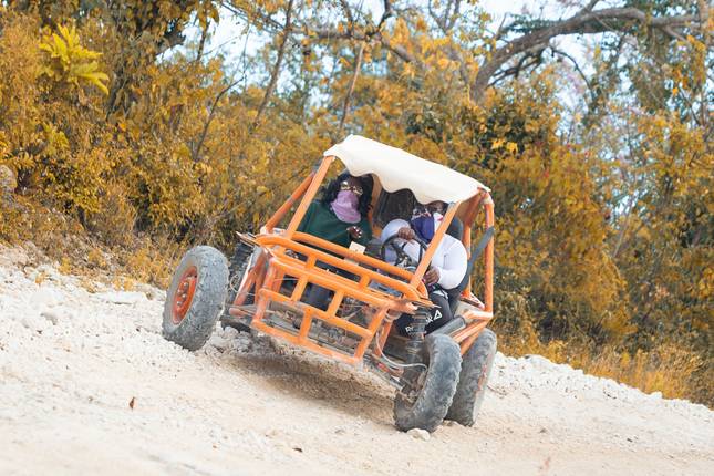 10 Best Dominican Republic Tours & Trips 2022/2023 - TourRadar