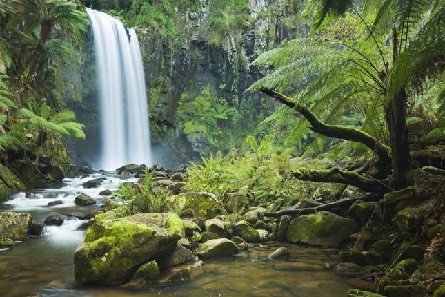 10 Best Far North Queensland Tours & Vacation Packages 2021/2022