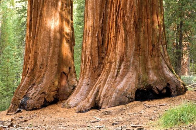 10 Best Usa Trekking Tours Hiking Trips 21 22 Tourradar