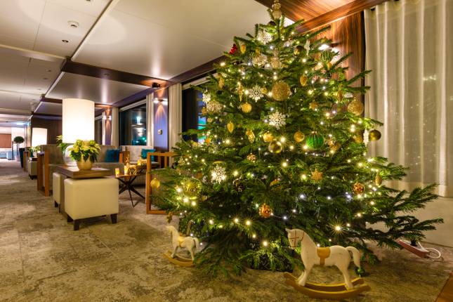 Christmas Holiday Vacation Packages 2022 10 Best Rhine Valley Winter 2022 Tours & Trips - Tourradar