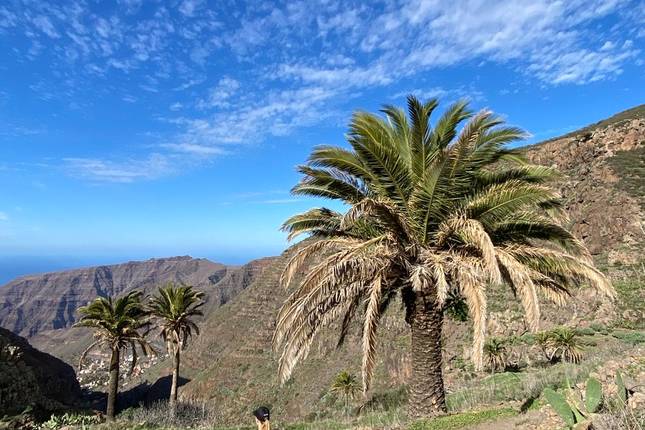 La Gomera individually - Best of GR 132 (8 days)
