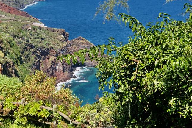 La Palma Special (8 days)