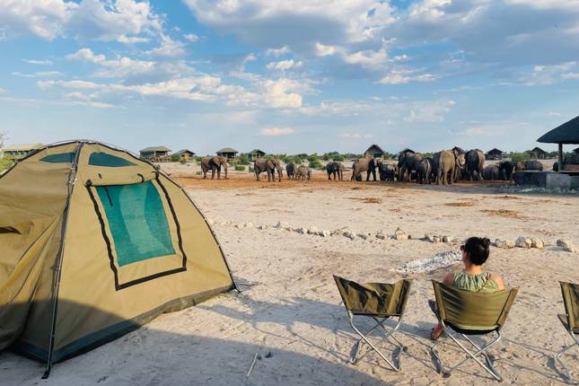 16 Day Botswana Pioneer (Camping)