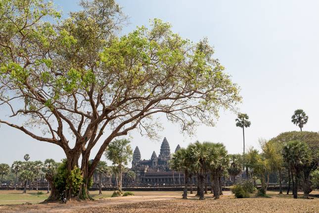 Journey to Angkor Wat - 15 days