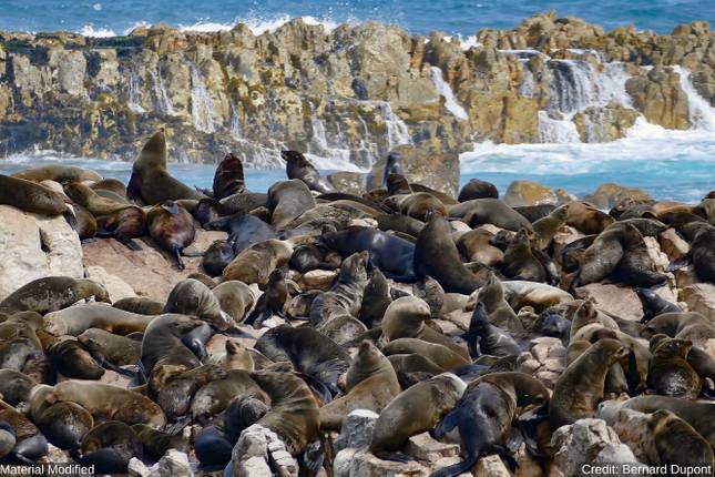  10 Best South Africa Tours & Trips 2024 - TourRadar Illustration 