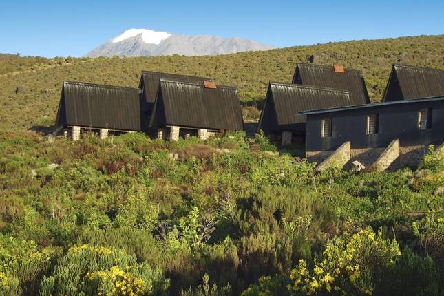 Kilimanjaro, Safari and Zanzibar