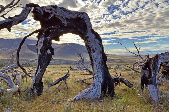 Carretera Austral and Ruta 40 - to the End of the World