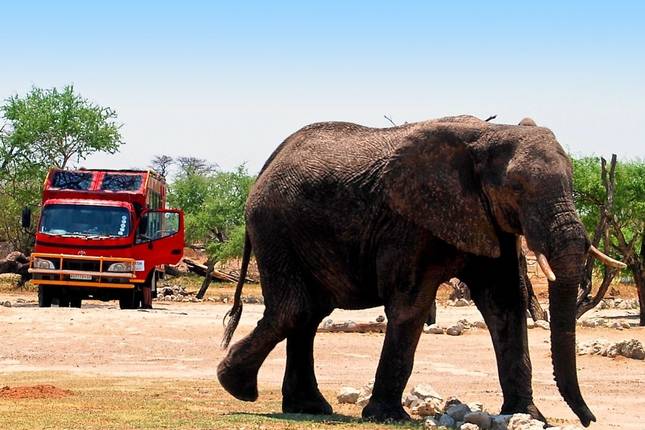 Entlang der Handelsroute (von Livingstone bis Lilongwe)