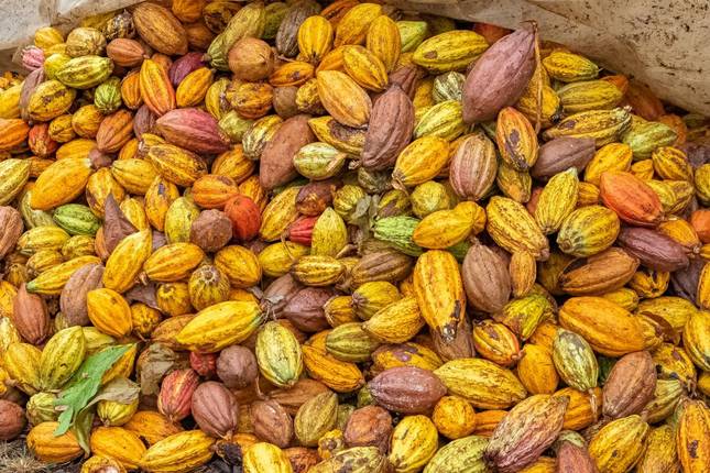 Costa Ricas Westen: Zwischen Traumstrand und purer Wildnis