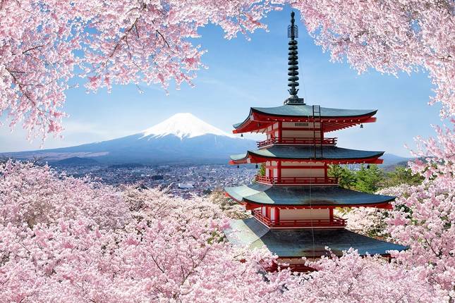 Essence of Japan 8 Days 7 Nights