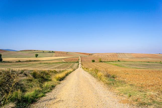 French Way of St. James from Logroño to Burgos (7 days)