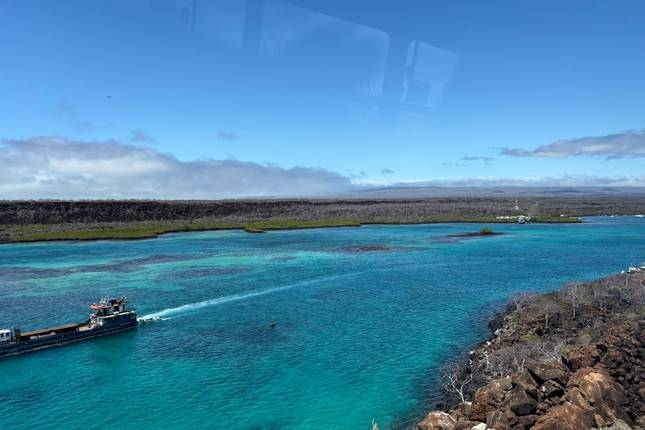 5 dni na Galapagos Santa Cruz | Codzienne wycieczki przyrodnicze