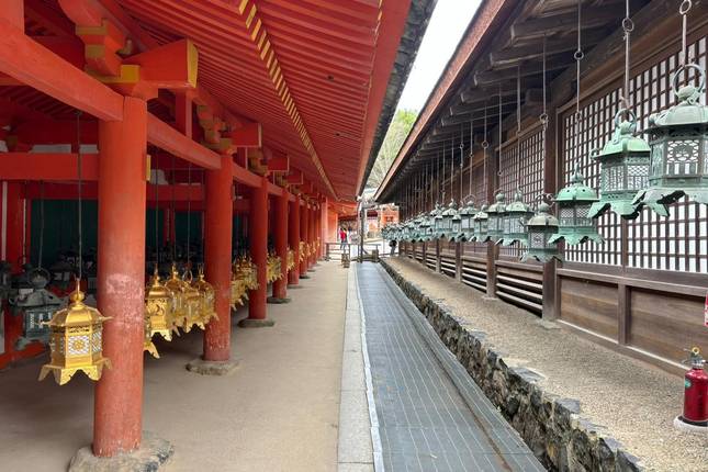 Excursão Japão e Coreia do Sul