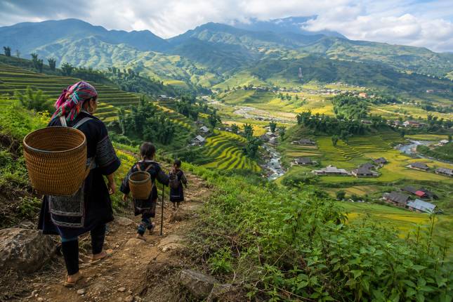 Vietnam et Cambodge : Villages intacts, forêt tropicale et faune sauvage