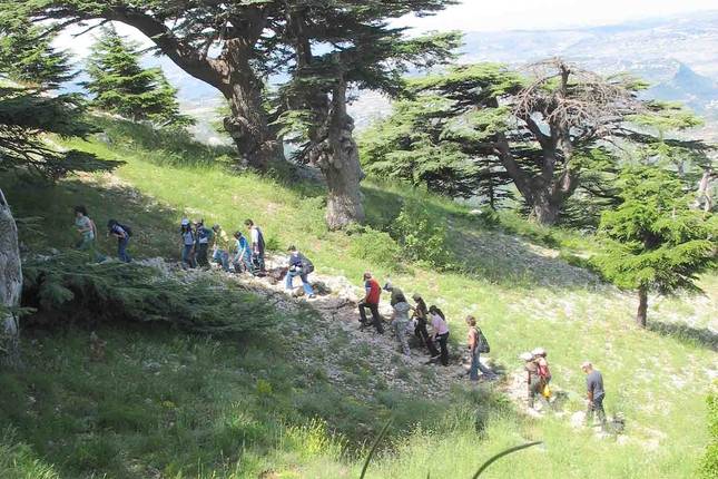 10 Best Lebanon Tours & Trips 2024/2025 - TourRadar