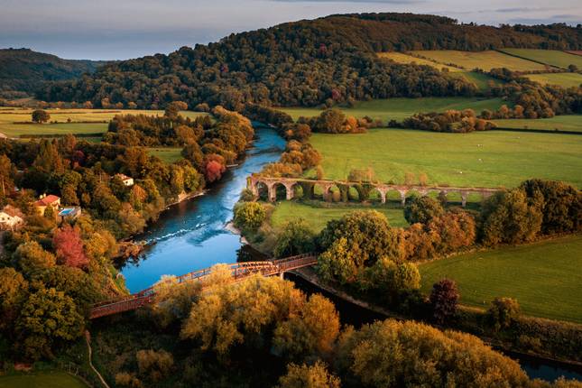 rabbie tours england