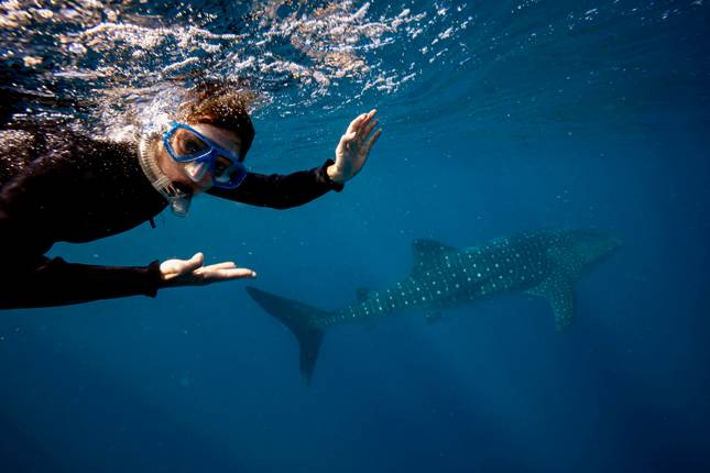 Australia’s West Coast & Ningaloo Reef – 8 Day Boutique Comfort Tour