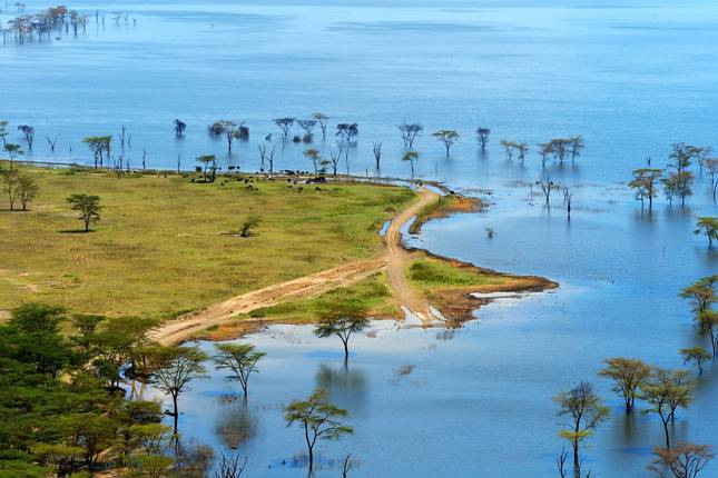 Gorillas & East Africa Explorer - 39 days