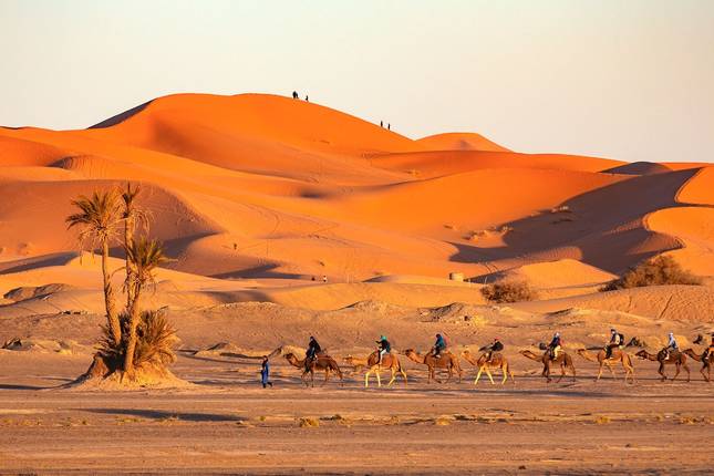 Explore the Sahara Desert from Marrakech (Private Bespoke)