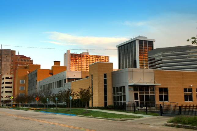Journeys: Iconic Wildlife of Yellowstone and Grand Teton National Geographic Journeys