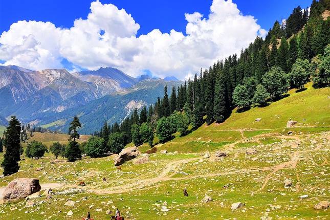 10 Best Kashmir Tours & Trips 2024 - TourRadar