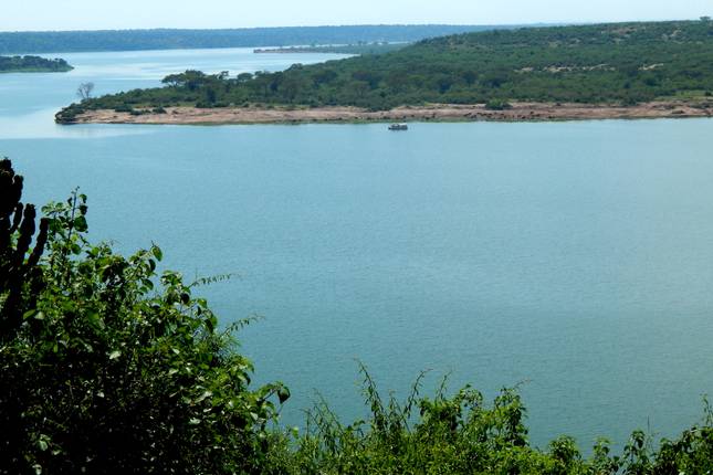 Wildlife Sighting Trip Including Chimp, Gorilla Trekking