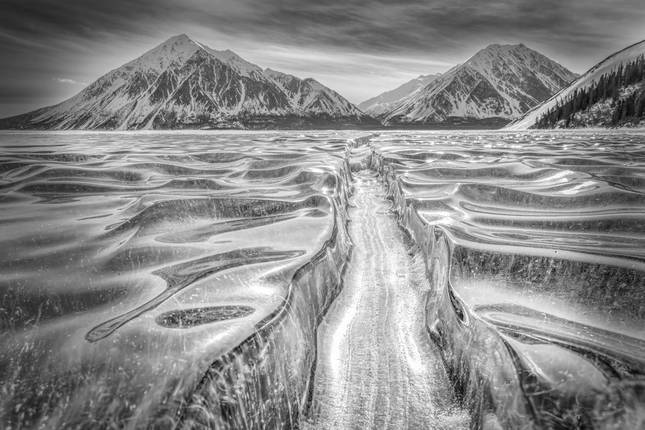 Die Natur als Kunstwerk